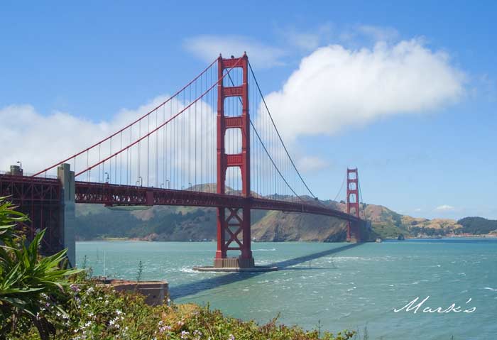 �Mark's Photography