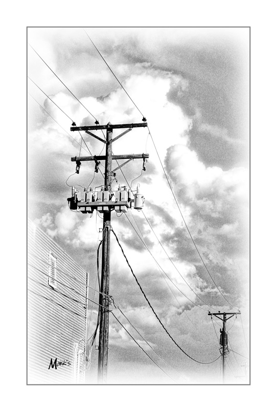 �Mark's Photography 2004