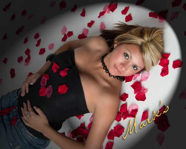 In the spotlight - �Mark's Photography 2007