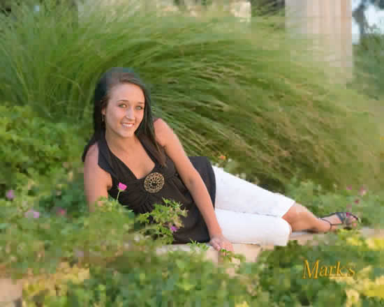 �Mark's Photography 2008